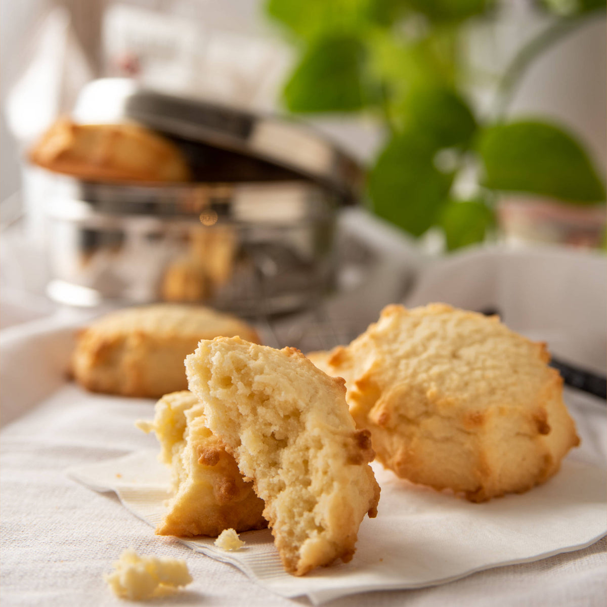 The « Famous Vanilla Sunshine Cookie» Box - 32 cookies